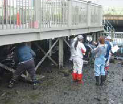 第1回調査の様子。SUSの社員も調査の補助を行うため、参加した。
