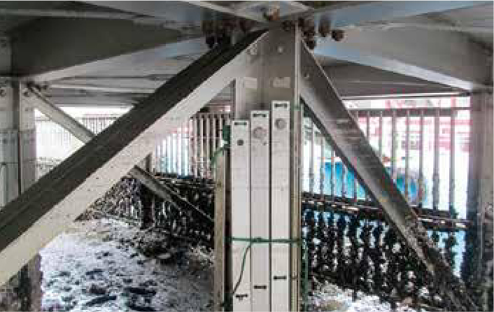 暴露試験のため、柱脚に固定された試験体。
