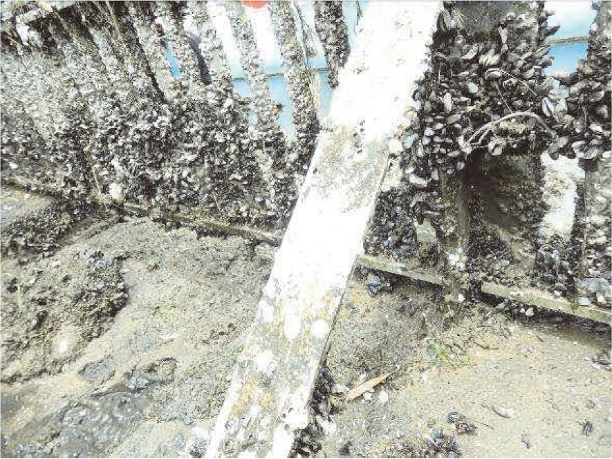 ゴミ除去スクリーン斜め支柱